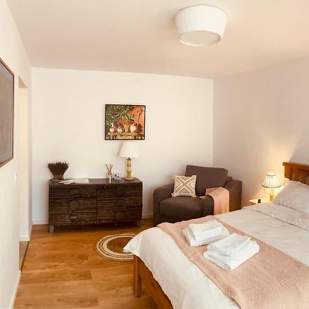 Warm And Cozy Studio Flat Near Straja Uricani  Exteriör bild