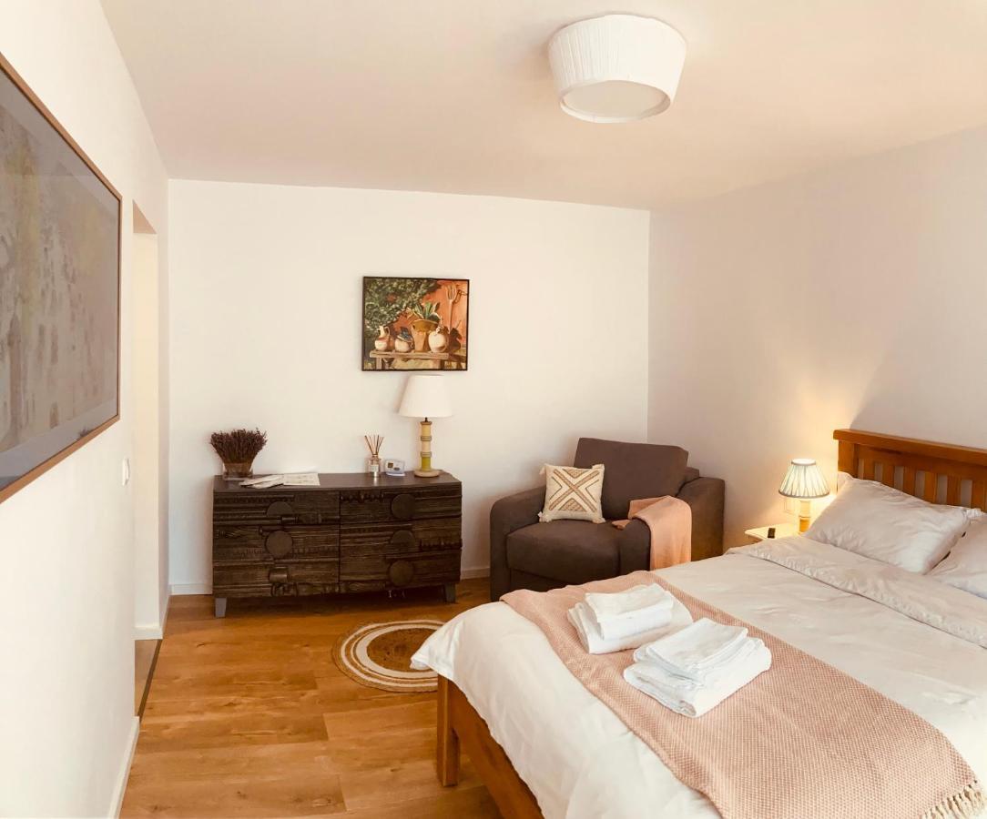 Warm And Cozy Studio Flat Near Straja Uricani  Exteriör bild